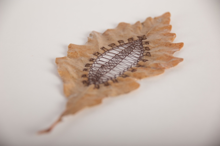Hilary Fayle Leaf Stitching Patterns